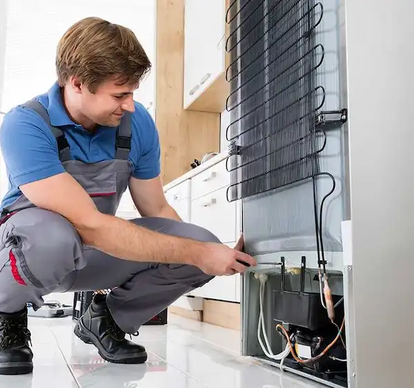 Professional Samsung Refrigerator Repair Services